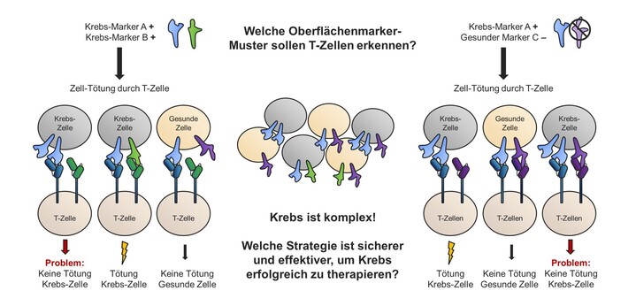 Schaubild-Projekt-Patrick-Ho